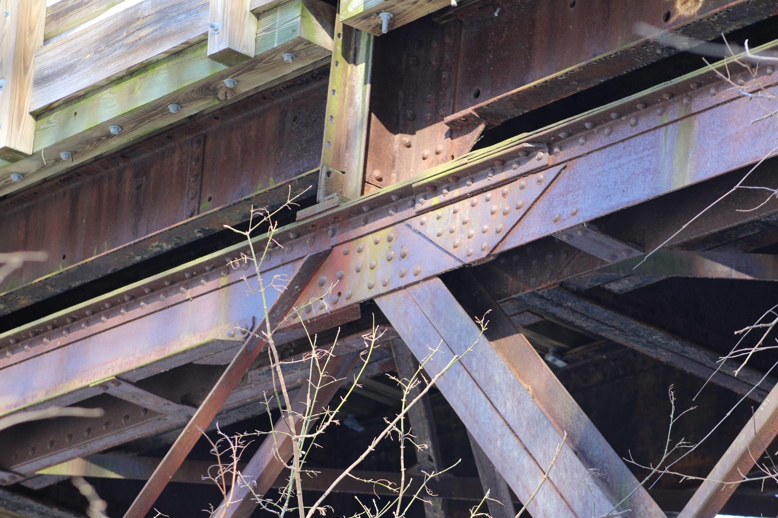 Sangamon Valley Trail - Spring Creek Bridge