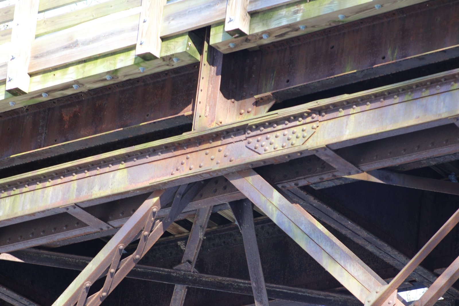 Sangamon Valley Trail - Spring Creek Bridge