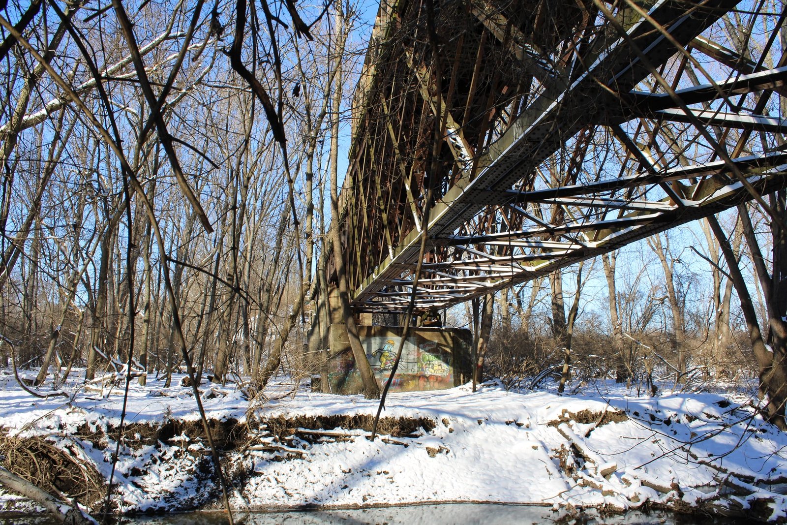 Sangamon Valley Trail - Spring Creek Bridge