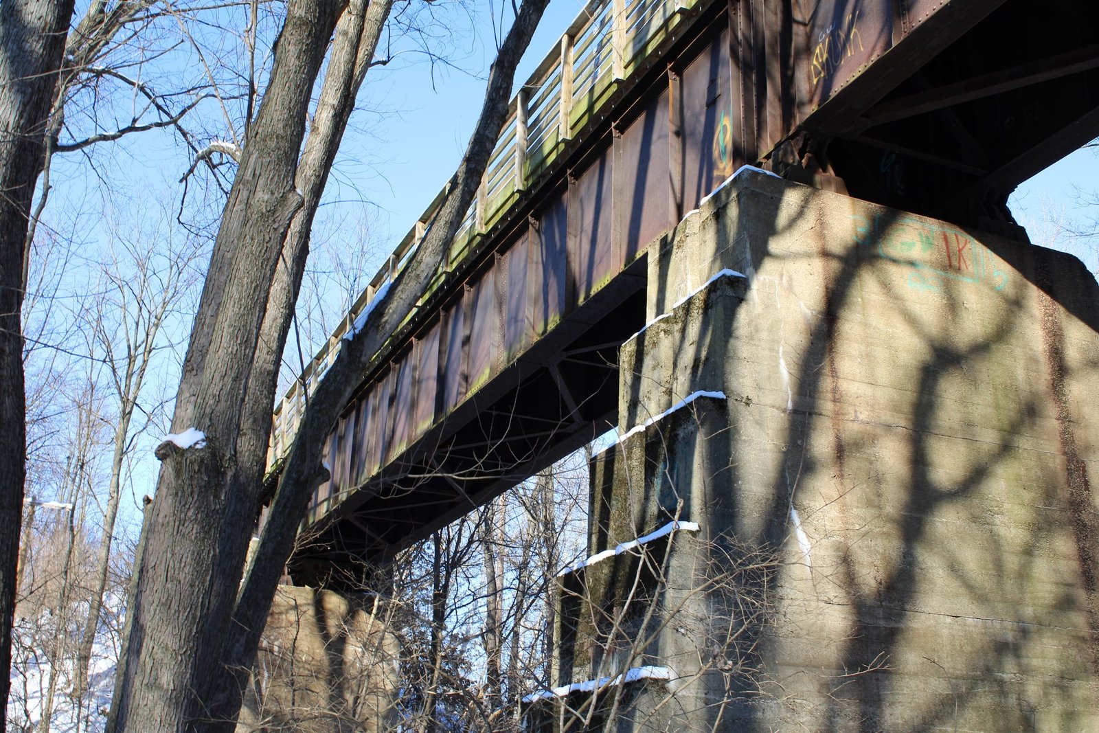 Sangamon Valley Trail - Spring Creek Bridge