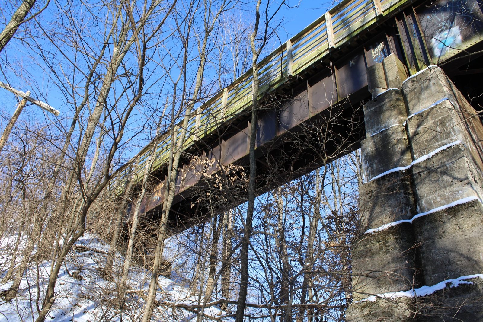 Sangamon Valley Trail - Spring Creek Bridge