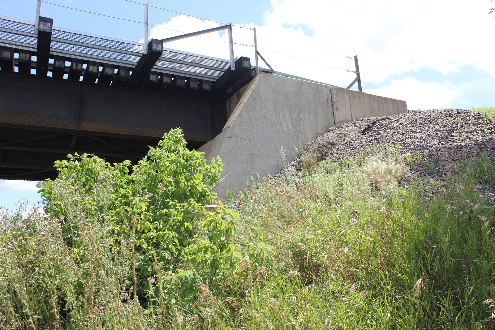 Frazee Rail Bridge
