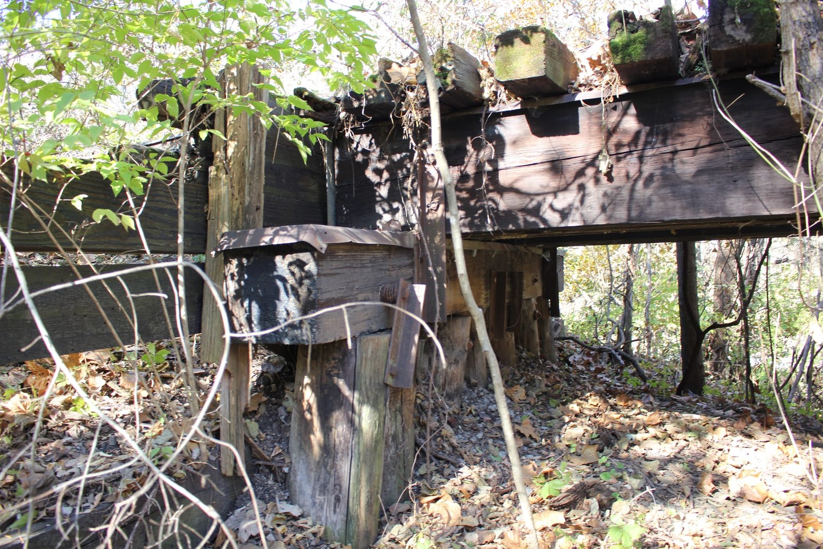 MP Fire Prairie Creek Bridge