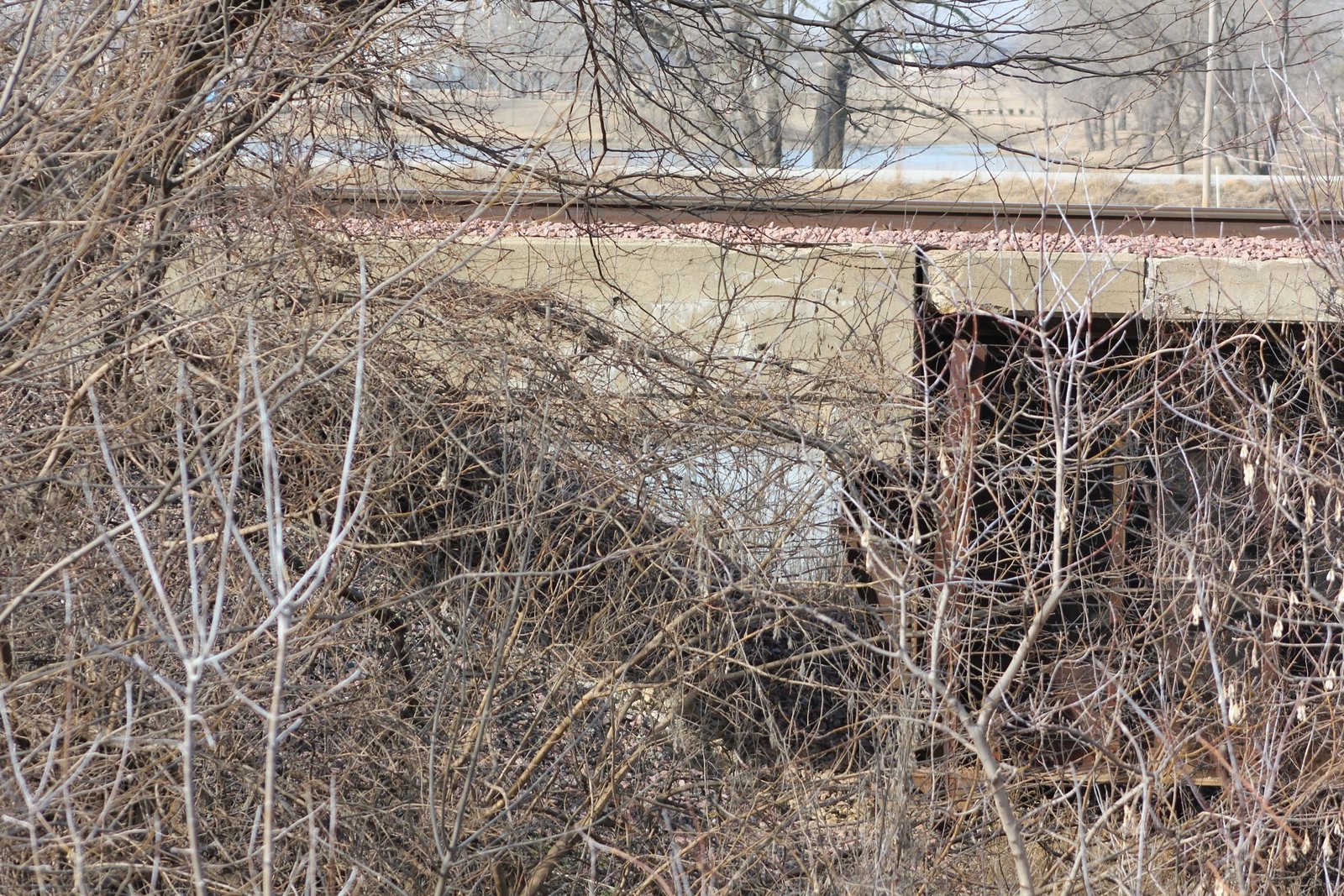 BNSF Platte River Bridge (Ashland)