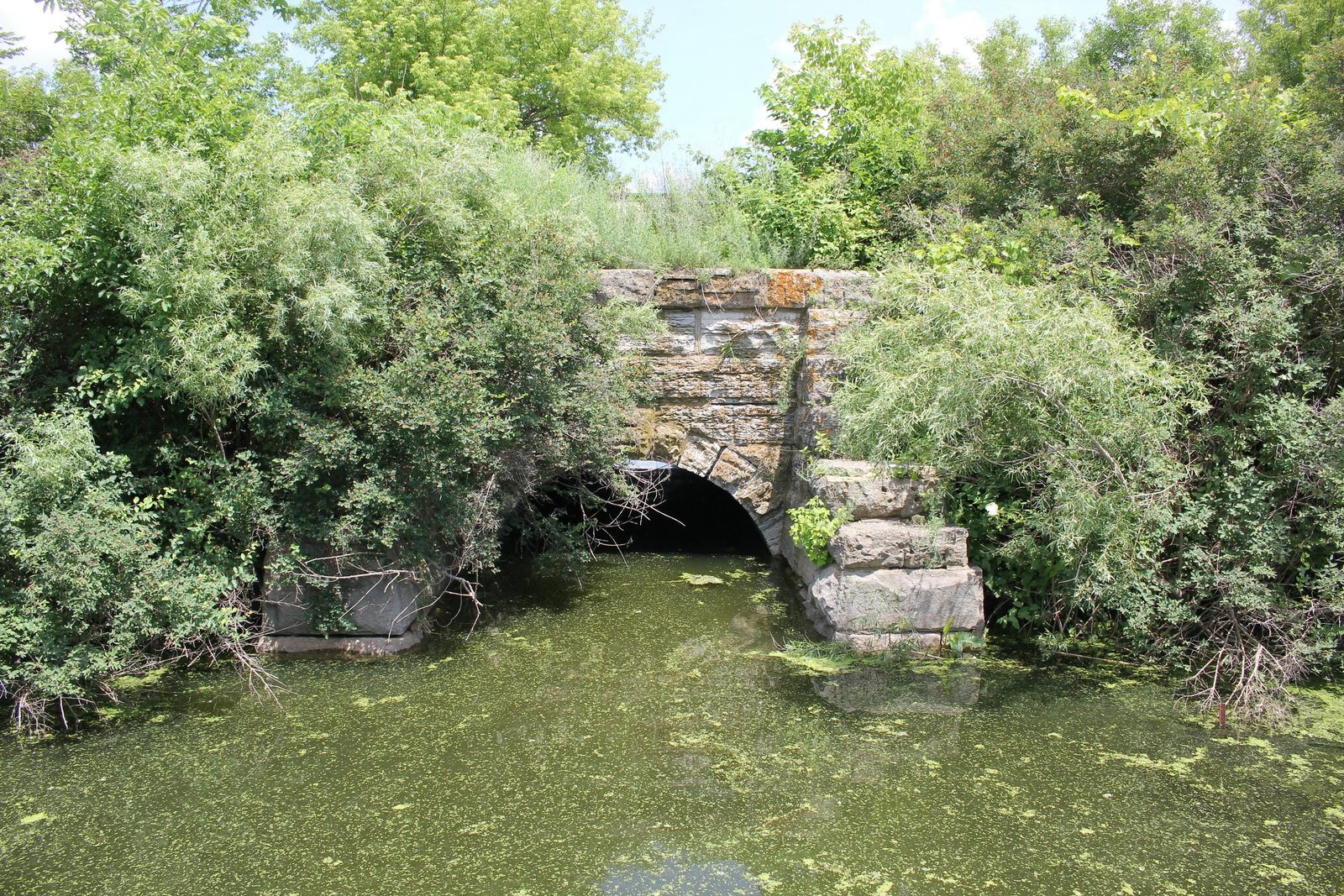 WSOR Warner Creek Arch